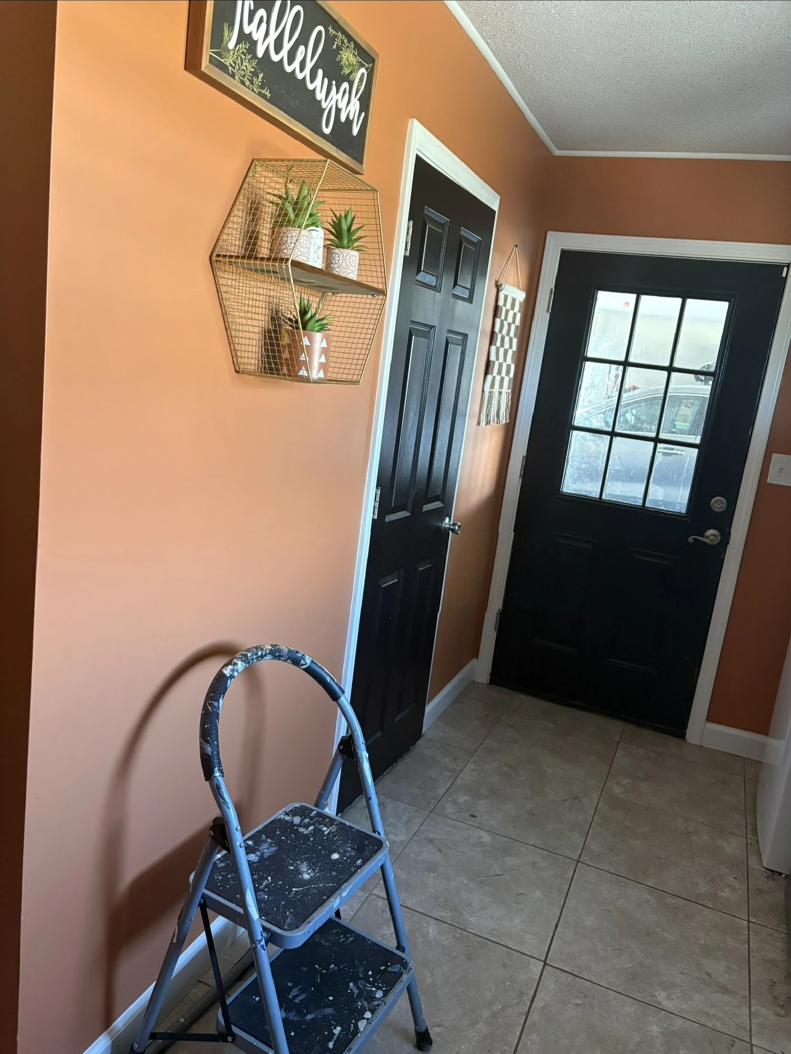 Entryway with rich terracotta accent walls and satin black painted doors by Scorpion Paint