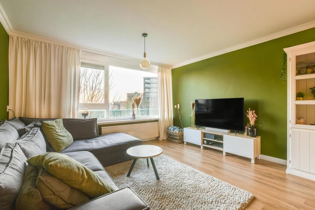 Living room with green painted walls